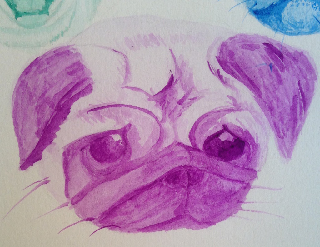 Purple Pug