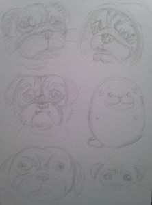 stages of pug