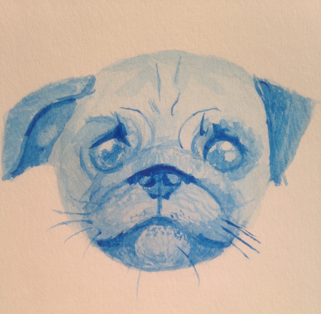 blue pug